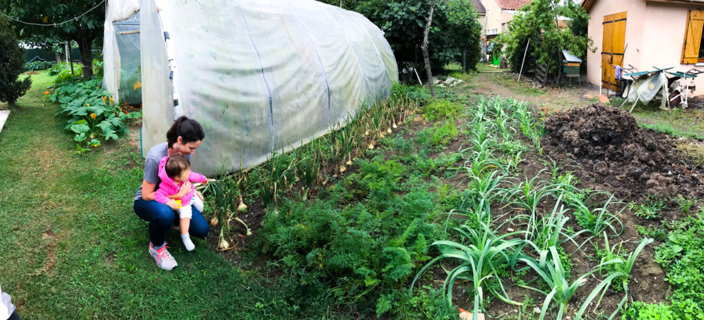 About: The beauty of gardening